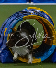 1-18-25-Kathy-W-Seminar-480