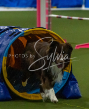 1-18-25-Kathy-W-Seminar-482