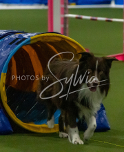 1-18-25-Kathy-W-Seminar-483