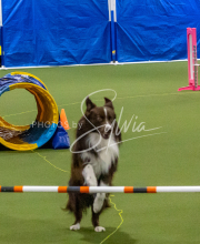 1-18-25-Kathy-W-Seminar-489