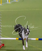 1-18-25-Kathy-W-Seminar-494