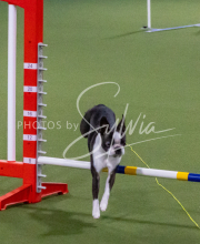 1-18-25-Kathy-W-Seminar-495