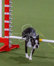 1-18-25-Kathy-W-Seminar-496