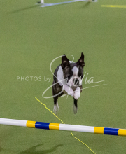 1-18-25-Kathy-W-Seminar-498