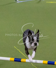 1-18-25-Kathy-W-Seminar-499