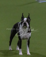 1-18-25-Kathy-W-Seminar-501