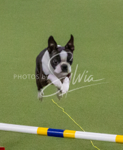 1-18-25-Kathy-W-Seminar-504