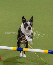 1-18-25-Kathy-W-Seminar-506