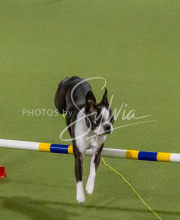 1-18-25-Kathy-W-Seminar-509