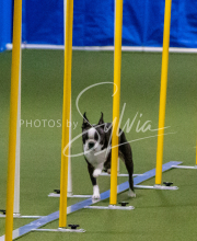 1-18-25-Kathy-W-Seminar-513