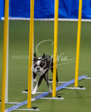 1-18-25-Kathy-W-Seminar-514