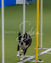 1-18-25-Kathy-W-Seminar-515