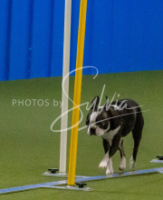 1-18-25-Kathy-W-Seminar-520