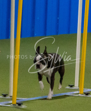 1-18-25-Kathy-W-Seminar-521