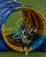 1-18-25-Kathy-W-Seminar-522