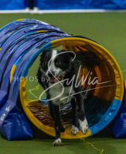 1-18-25-Kathy-W-Seminar-526