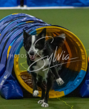 1-18-25-Kathy-W-Seminar-527