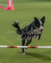 1-18-25-Kathy-W-Seminar-530