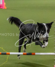 1-18-25-Kathy-W-Seminar-531