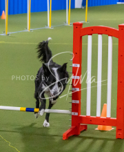 1-18-25-Kathy-W-Seminar-536