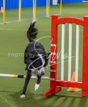 1-18-25-Kathy-W-Seminar-537