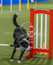 1-18-25-Kathy-W-Seminar-538