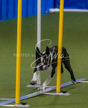 1-18-25-Kathy-W-Seminar-540