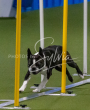 1-18-25-Kathy-W-Seminar-541