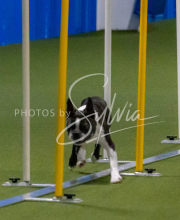 1-18-25-Kathy-W-Seminar-543