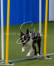 1-18-25-Kathy-W-Seminar-545