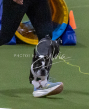 1-18-25-Kathy-W-Seminar-552