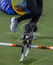 1-18-25-Kathy-W-Seminar-553