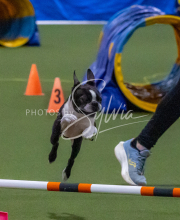 1-18-25-Kathy-W-Seminar-559