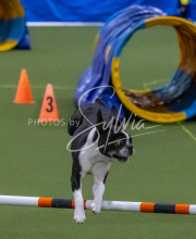 1-18-25-Kathy-W-Seminar-561