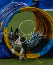 1-18-25-Kathy-W-Seminar-562