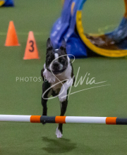 1-18-25-Kathy-W-Seminar-564