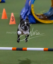 1-18-25-Kathy-W-Seminar-565