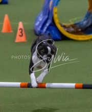 1-18-25-Kathy-W-Seminar-566