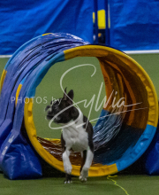 1-18-25-Kathy-W-Seminar-568