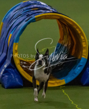 1-18-25-Kathy-W-Seminar-588