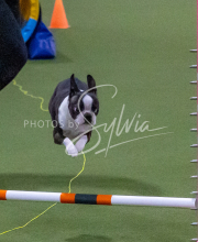 1-18-25-Kathy-W-Seminar-589