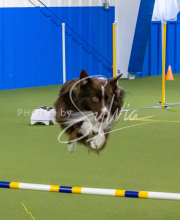 1-18-25-Kathy-W-Seminar-592