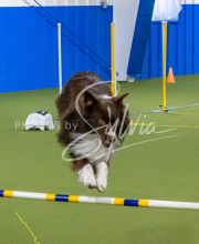 1-18-25-Kathy-W-Seminar-593