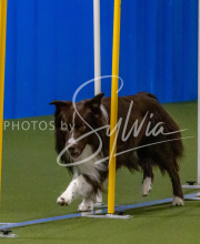 1-18-25-Kathy-W-Seminar-595