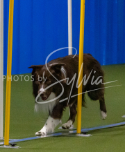 1-18-25-Kathy-W-Seminar-596