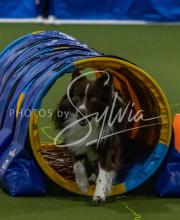 1-18-25-Kathy-W-Seminar-597