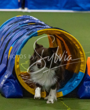 1-18-25-Kathy-W-Seminar-598