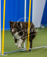 1-18-25-Kathy-W-Seminar-599