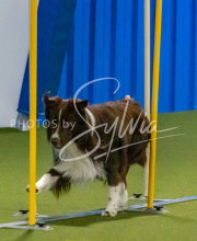 1-18-25-Kathy-W-Seminar-601