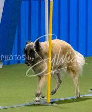 1-18-25-Kathy-W-Seminar-609